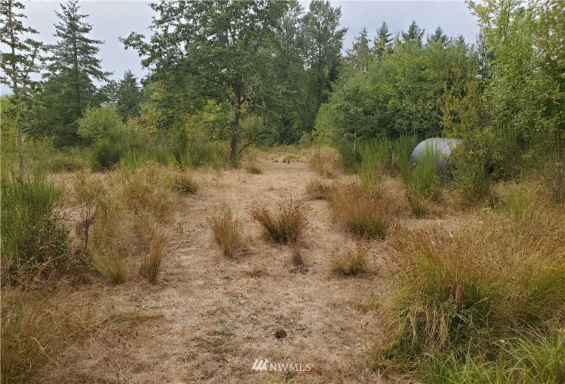 637 Boistfort Rd, Chehalis, Washington 98532, ,Land,For Sale,Boistfort Rd,NWM1841271