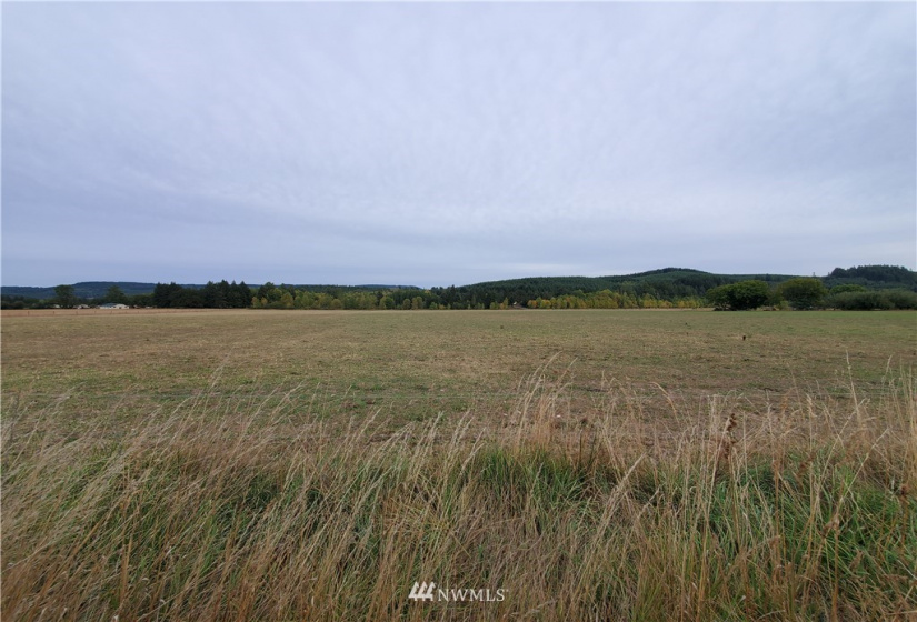 637 Boistfort Rd, Chehalis, Washington 98532, ,Land,For Sale,Boistfort Rd,NWM1841271