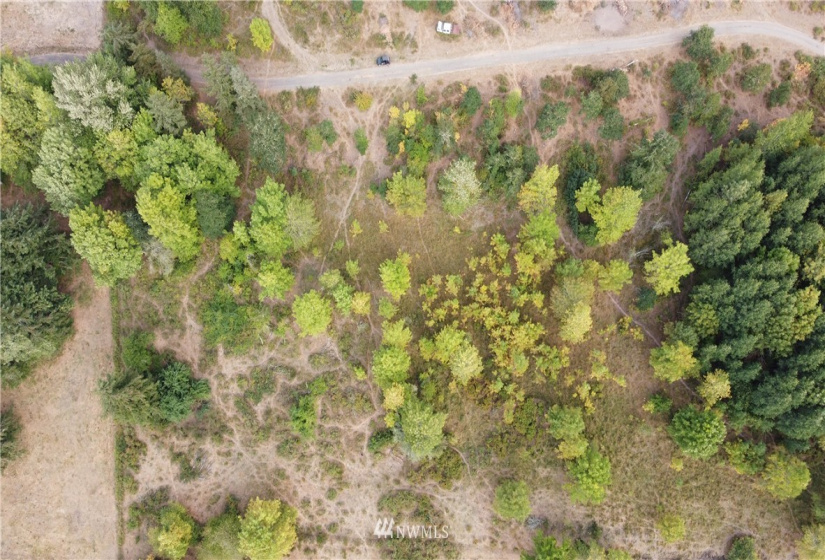 637 Boistfort Rd, Chehalis, Washington 98532, ,Land,For Sale,Boistfort Rd,NWM1841271