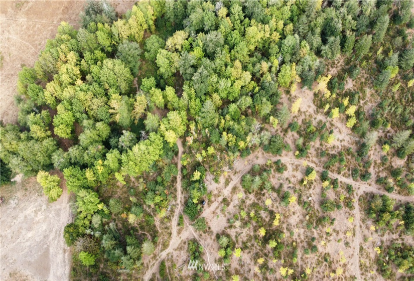 637 Boistfort Rd, Chehalis, Washington 98532, ,Land,For Sale,Boistfort Rd,NWM1841271