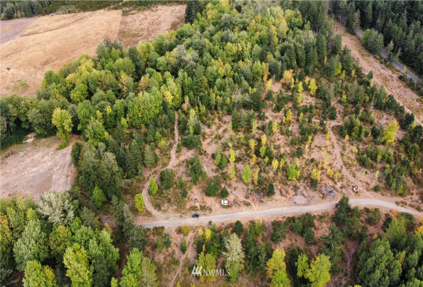637 Boistfort Rd, Chehalis, Washington 98532, ,Land,For Sale,Boistfort Rd,NWM1841271