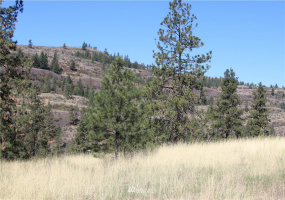 38155 Timber, Lincoln, Washington 99147, ,Land,For Sale,Timber,NWM1841456