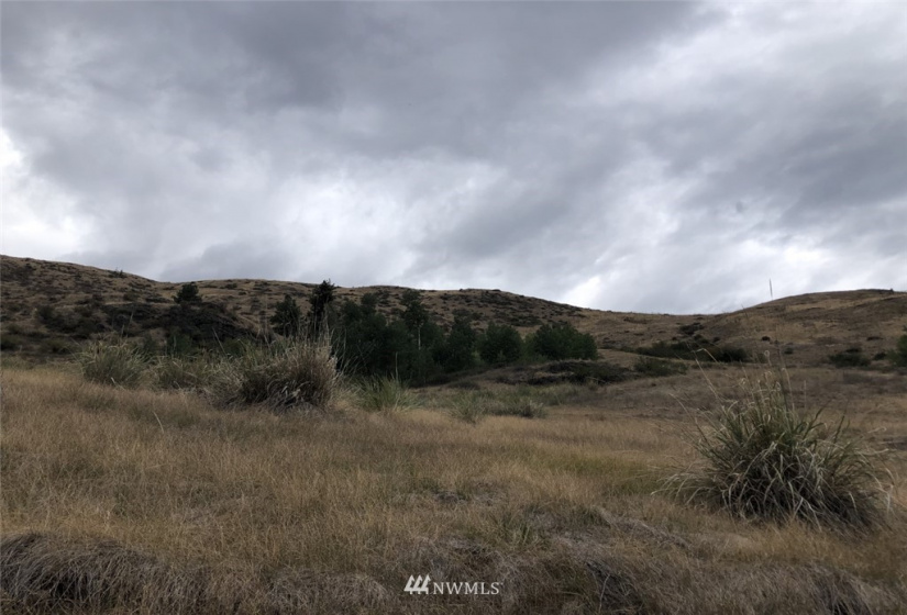 213 Bolster, Oroville, Washington 98844, ,Land,For Sale,Bolster,NWM1838328