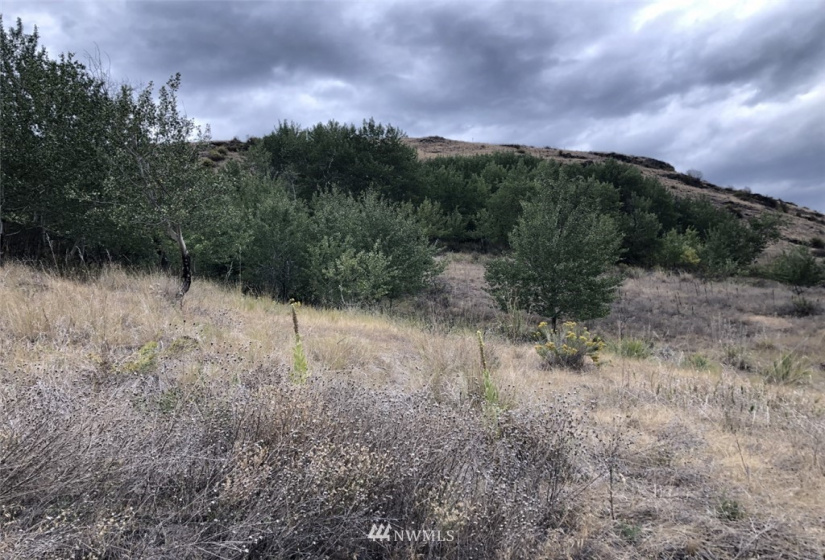 213 Bolster, Oroville, Washington 98844, ,Land,For Sale,Bolster,NWM1838328