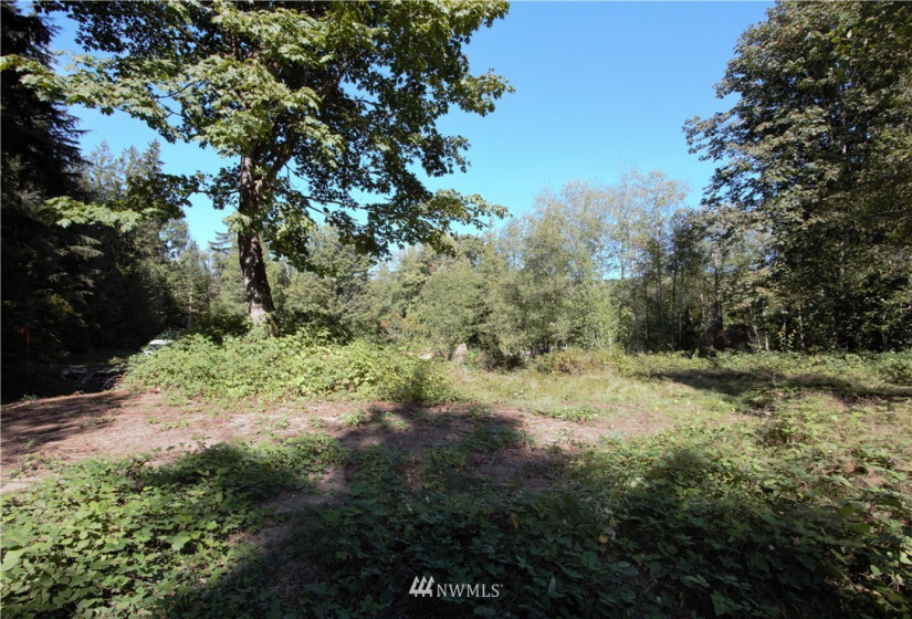 33108 132nd, Sultan, Washington 98294, ,Land,For Sale,132nd,NWM1841411