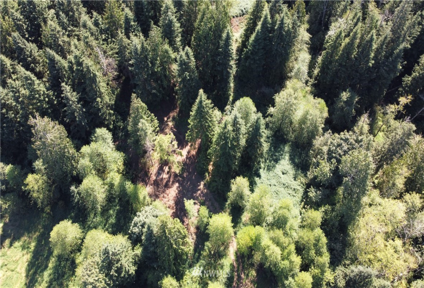 33108 132nd, Sultan, Washington 98294, ,Land,For Sale,132nd,NWM1841411
