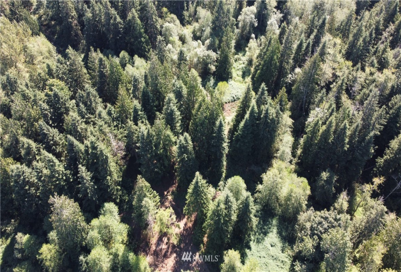 33108 132nd, Sultan, Washington 98294, ,Land,For Sale,132nd,NWM1841411