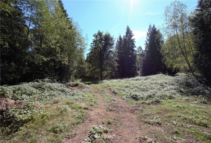 33108 132nd, Sultan, Washington 98294, ,Land,For Sale,132nd,NWM1841411