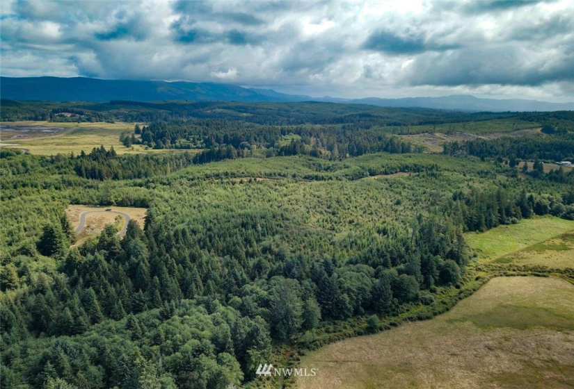 0 TBD 85th, Long Beach, Washington 98631, ,Land,For Sale,85th,NWM1841044