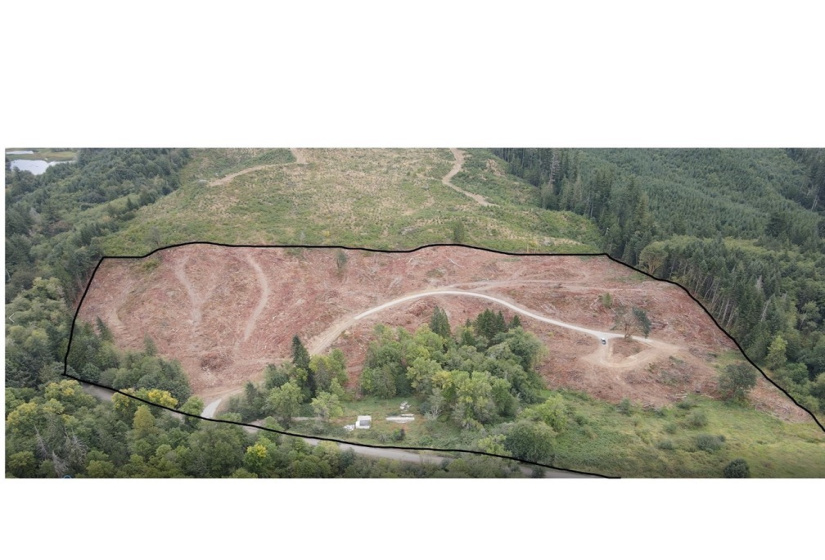 2 Little Hanaford, Centralia, Washington 98531, ,Land,For Sale,Little Hanaford,NWM1841518