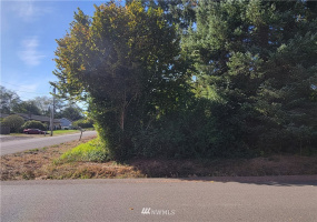 11 XX Evans, Aberdeen, Washington 98520, ,Land,For Sale,Evans,NWM1840848
