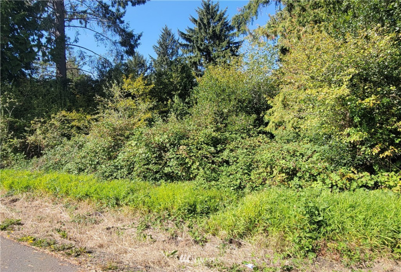 11 XX Evans, Aberdeen, Washington 98520, ,Land,For Sale,Evans,NWM1840848