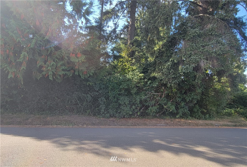 11 XX Evans, Aberdeen, Washington 98520, ,Land,For Sale,Evans,NWM1840848