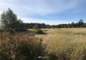 8173 Blaine Rd, Blaine, Washington 98230, ,Land,For Sale,Blaine Rd,NWM1841573