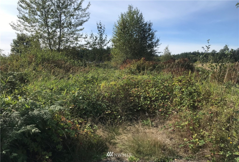 8173 Blaine Rd, Blaine, Washington 98230, ,Land,For Sale,Blaine Rd,NWM1841573