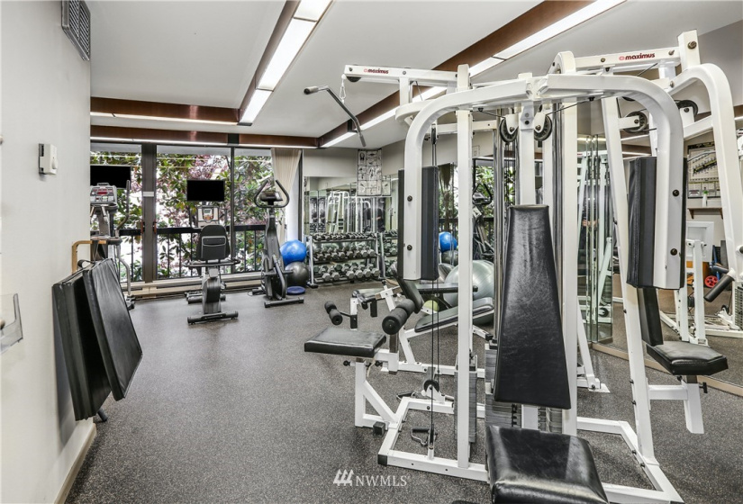 1101 Seneca, Seattle, Washington 98101, 3 Bedrooms Bedrooms, ,1 BathroomBathrooms,Residential,For Sale,Parkview Plaza,Seneca,NWM1842014