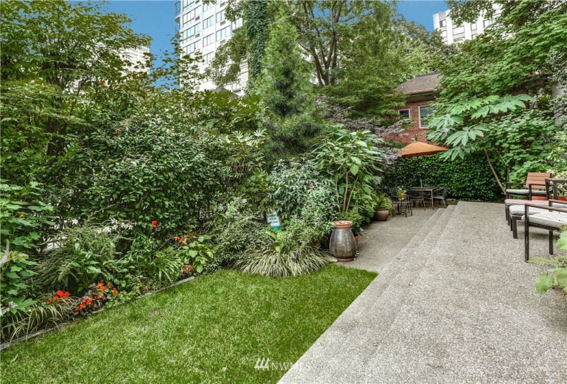 1101 Seneca, Seattle, Washington 98101, 3 Bedrooms Bedrooms, ,1 BathroomBathrooms,Residential,For Sale,Parkview Plaza,Seneca,NWM1842014