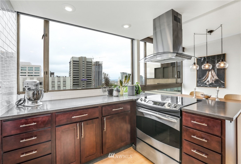1101 Seneca, Seattle, Washington 98101, 3 Bedrooms Bedrooms, ,1 BathroomBathrooms,Residential,For Sale,Parkview Plaza,Seneca,NWM1842014