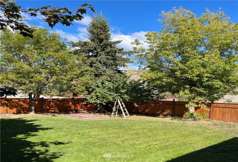 28 Race, Danville, Washington 99121, 5 Bedrooms Bedrooms, ,1 BathroomBathrooms,Residential,For Sale,Danville Townsite,Race,NWM1842036