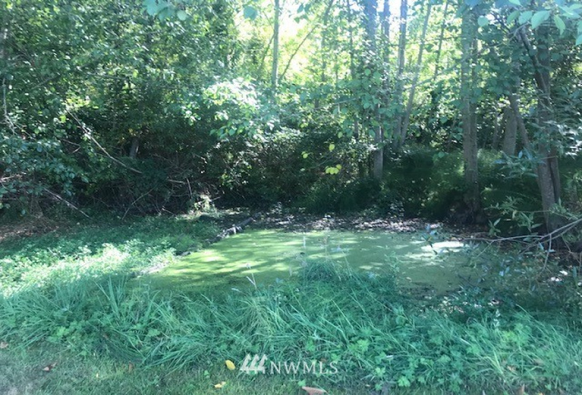 18925 98th, Stanwood, Washington 98292, 1 Bedroom Bedrooms, ,1 BathroomBathrooms,Residential,For Sale,Warm Beach,98th,NWM1842118
