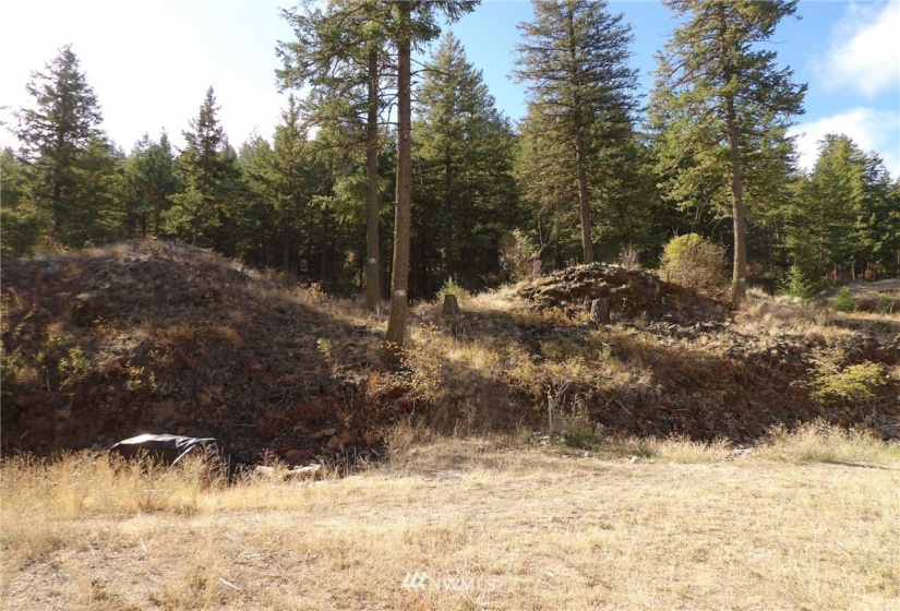 31808 Mill Canyon, Davenport, Washington 99122, ,Residential,For Sale,Mill Canyon,NWM1842188