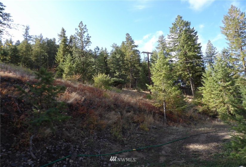 31808 Mill Canyon, Davenport, Washington 99122, ,Residential,For Sale,Mill Canyon,NWM1842188