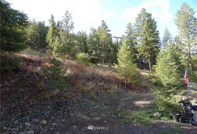 31808 Mill Canyon, Davenport, Washington 99122, ,Residential,For Sale,Mill Canyon,NWM1842188