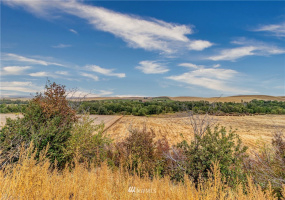 310 Seven Mile, Walla Walla, Washington 99362, ,Residential,For Sale,Seven Mile,NWM1842481