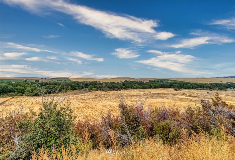 310 Seven Mile, Walla Walla, Washington 99362, ,Residential,For Sale,Seven Mile,NWM1842481