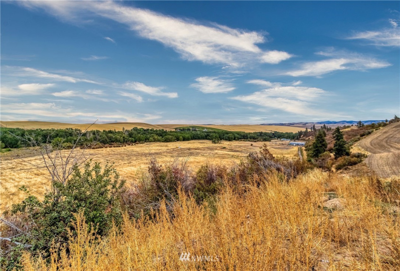 310 Seven Mile, Walla Walla, Washington 99362, ,Residential,For Sale,Seven Mile,NWM1842481