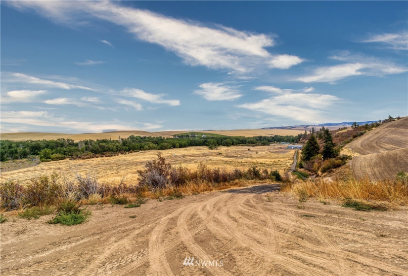 310 Seven Mile, Walla Walla, Washington 99362, ,Residential,For Sale,Seven Mile,NWM1842481