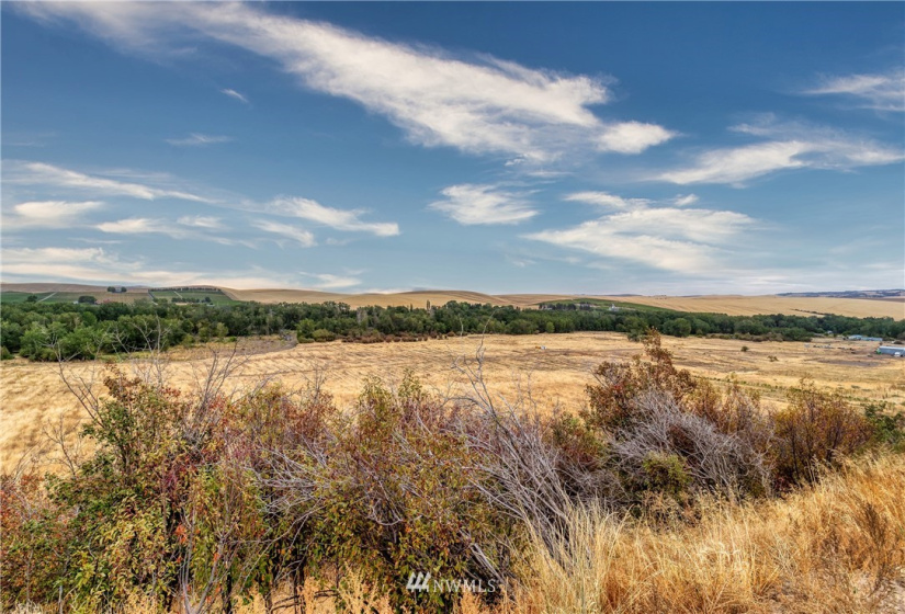 310 Seven Mile, Walla Walla, Washington 99362, ,Residential,For Sale,Seven Mile,NWM1842481