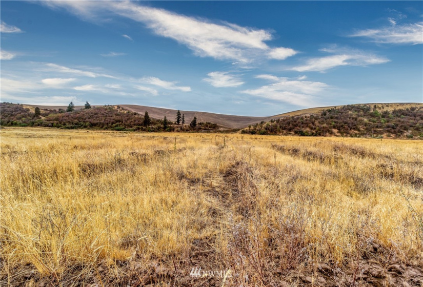 310 Seven Mile, Walla Walla, Washington 99362, ,Residential,For Sale,Seven Mile,NWM1842481