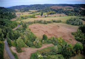 55 Brooklyn, Oakville, Washington 98568, ,Land,For Sale,Brooklyn,NWM1841103