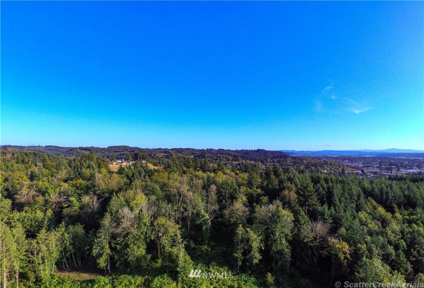 0 Daniels, Centralia, Washington 98531, ,Land,For Sale,Daniels,NWM1830193