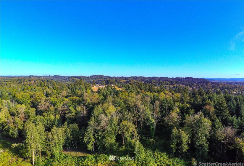 0 Daniels, Centralia, Washington 98531, ,Land,For Sale,Daniels,NWM1830193
