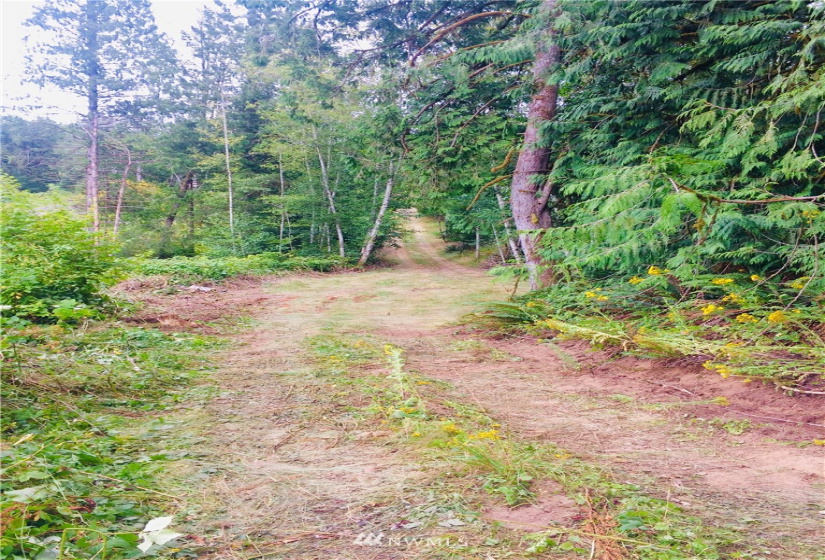 0 Daniels, Centralia, Washington 98531, ,Land,For Sale,Daniels,NWM1830193