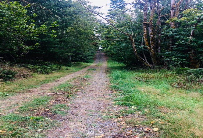 0 Daniels, Centralia, Washington 98531, ,Land,For Sale,Daniels,NWM1830193