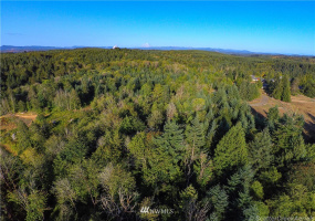 0 Daniels, Centralia, Washington 98531, ,Land,For Sale,Daniels,NWM1830193