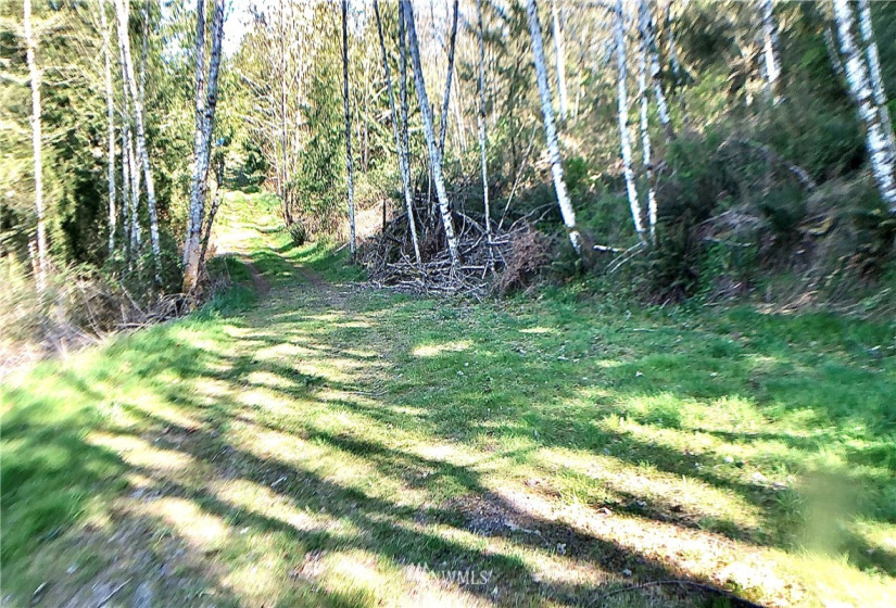 0 Daniels, Centralia, Washington 98531, ,Land,For Sale,Daniels,NWM1830193