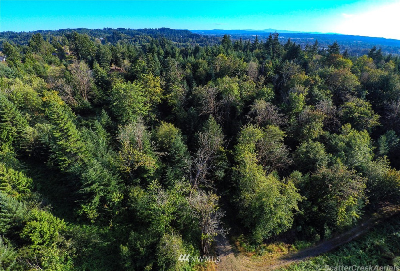 0 Daniels, Centralia, Washington 98531, ,Land,For Sale,Daniels,NWM1830193