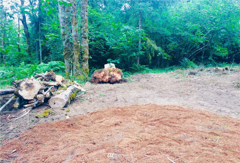 0 Daniels, Centralia, Washington 98531, ,Land,For Sale,Daniels,NWM1830193