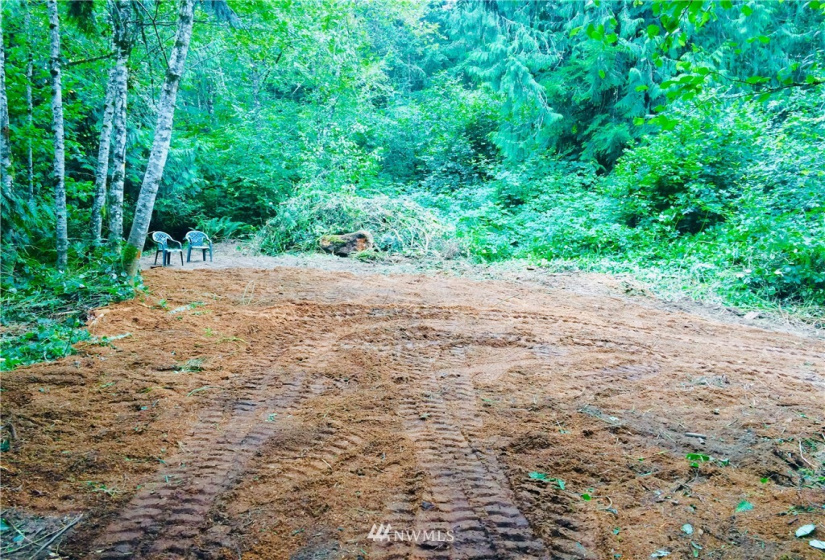 0 Daniels, Centralia, Washington 98531, ,Land,For Sale,Daniels,NWM1830193