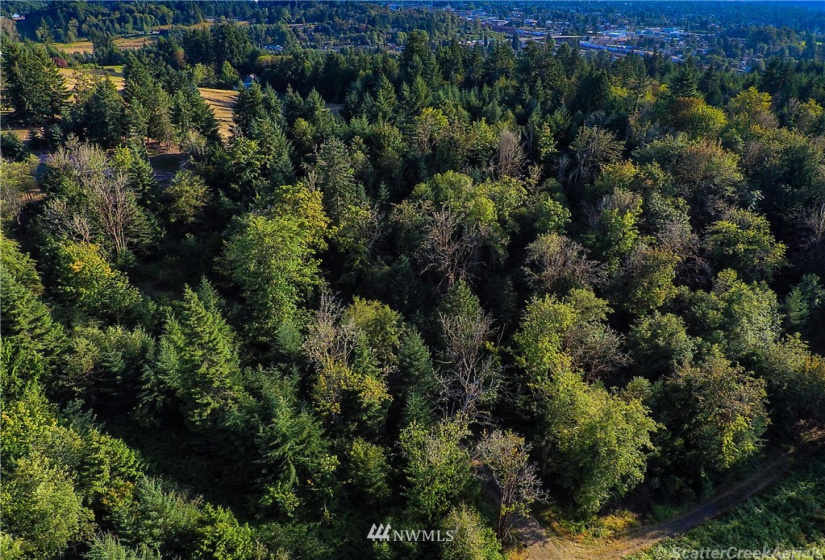 0 Daniels, Centralia, Washington 98531, ,Land,For Sale,Daniels,NWM1830193