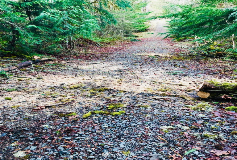 0 Daniels, Centralia, Washington 98531, ,Land,For Sale,Daniels,NWM1830193