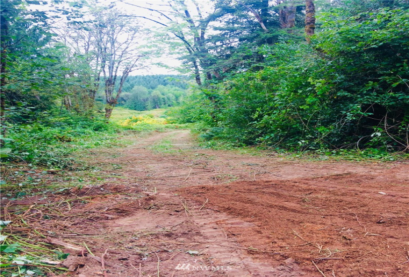 0 Daniels, Centralia, Washington 98531, ,Land,For Sale,Daniels,NWM1830193