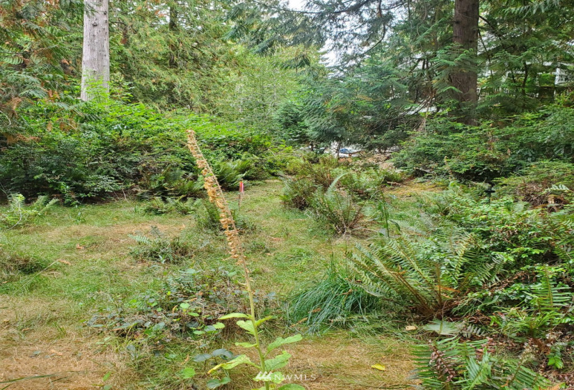 655 Portage, Shelton, Washington 98584, ,Land,For Sale,Hartstene Pointe,Portage,NWM1842156