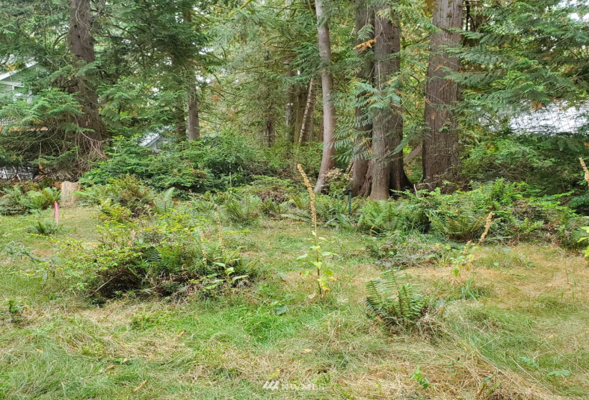 655 Portage, Shelton, Washington 98584, ,Land,For Sale,Hartstene Pointe,Portage,NWM1842156