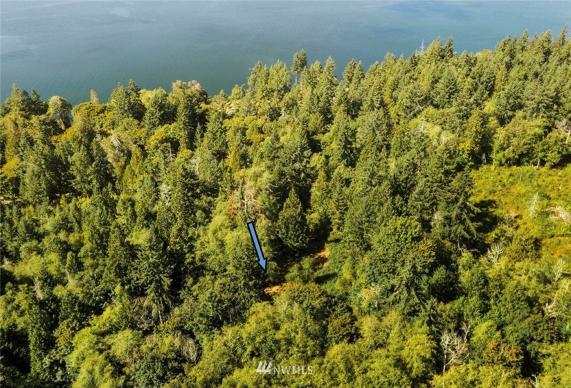 0 xxx 72nd, Longbranch, Washington 98351, ,Land,For Sale,72nd,NWM1842544