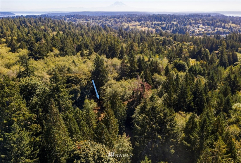 0 xxx 72nd, Longbranch, Washington 98351, ,Land,For Sale,72nd,NWM1842544